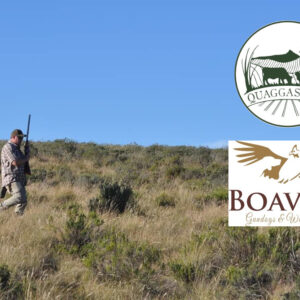 Wingshooting Quaggasvlei in memory of David Stern