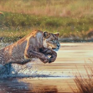 Gold Rush - by David Langmead